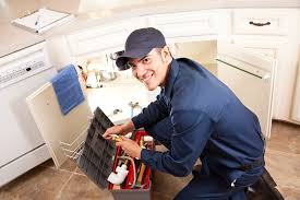 Best Garbage Disposal Repair and Installation  in Blakely, PA